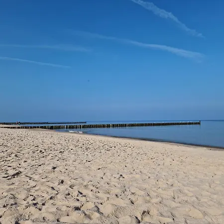 Gea Eco 206 * Sianozety